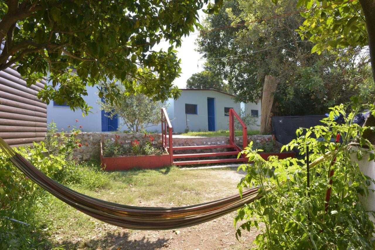 Glamping Rooms At The Sea Turtle Dhërmi Esterno foto